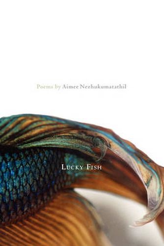 Cover image for Lucky Fish