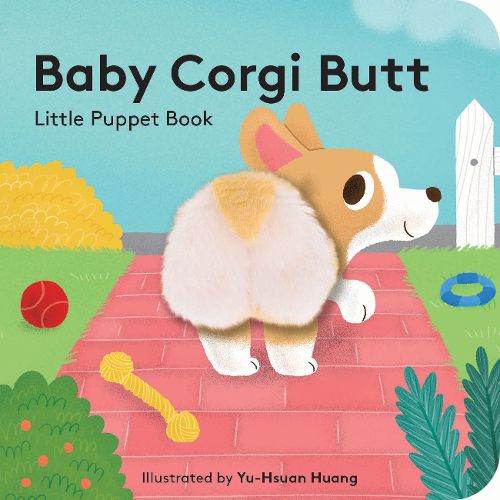 Cover image for Baby Corgi Butt: Little Puppet Book
