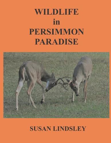 Cover image for Wildlife in Persimmon Paradise