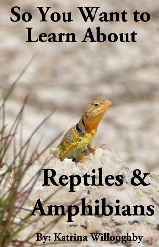 Cover image for So You Want to Learn About Reptiles & Amphibians