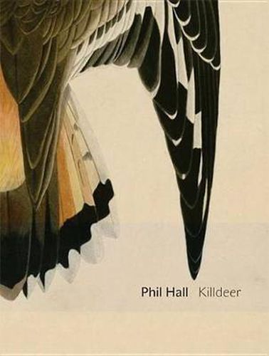 Killdeer: essay-poems