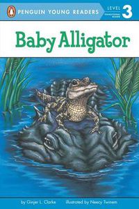 Cover image for Baby Alligator