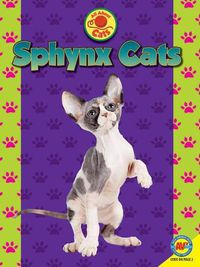 Cover image for Sphynx