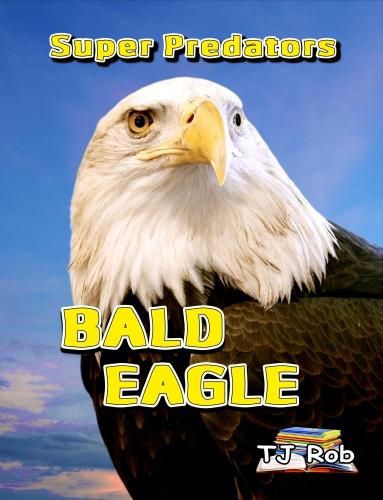 Bald Eagle: Age 6 and above