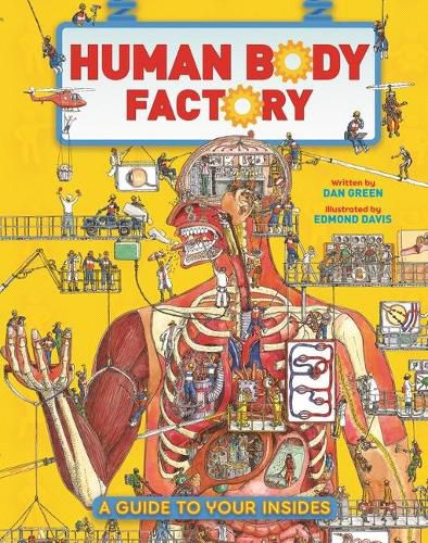 The Human Body Factory: A Guide to Your Insides