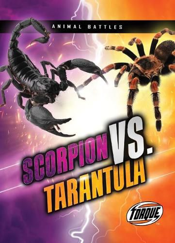 Cover image for Scorpion VS. Tarantula