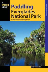 Cover image for Paddling Everglades National Park: A Guide To The Best Paddling Adventures