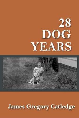 Cover image for 28 Dog Years