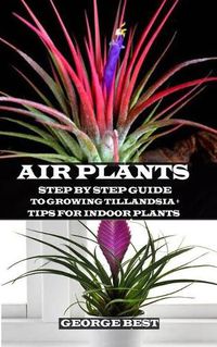 Cover image for Air Plant: Step by Step Guide to Growing Tillandsia + Tips for Indoor Plants
