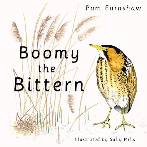Cover image for Boomy the Bittern