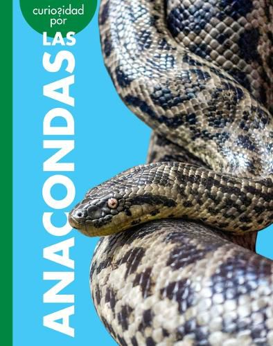 Cover image for Curiosidad Por Las Anacondas