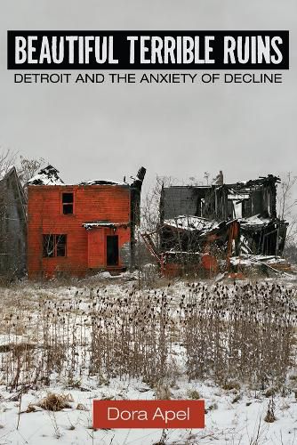 Cover image for Beautiful Terrible Ruins: Detroit and the Anxiety of Decline