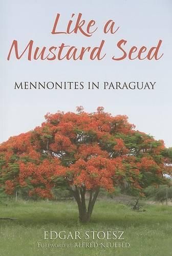 Cover image for Like a Mustard Seed: Mennonites in Paraguay