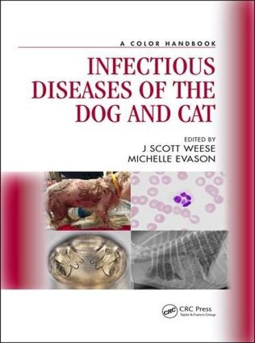 Cover image for Infectious Diseases of the Dog and Cat: A Color Handbook