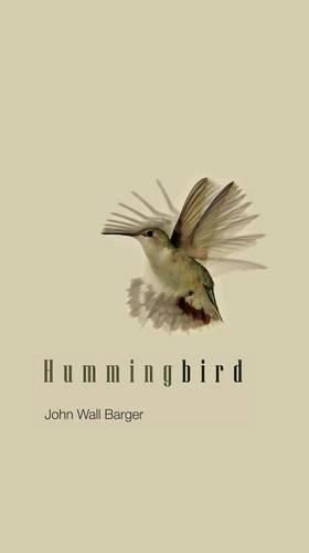 Cover image for Hummingbird