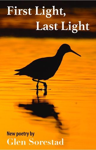 Cover image for First Light, Last Light
