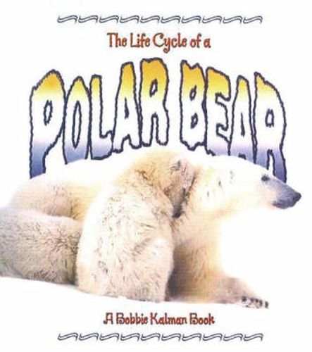 The Life Cycle of the Polar Bear