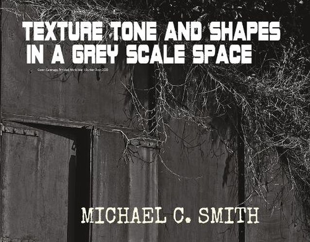 Cover image for Textures Tones and Shapes in a Grey Scale Space