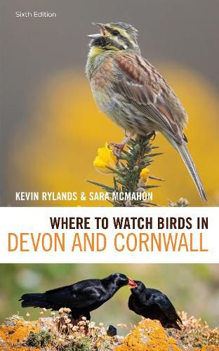 Cover image for Where to Watch Birds in Devon and Cornwall