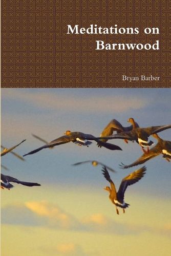 Cover image for Meditations on Barnwood