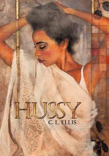 Cover image for Hussy