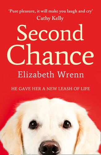 Cover image for Second Chance