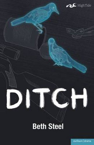 Cover image for Ditch