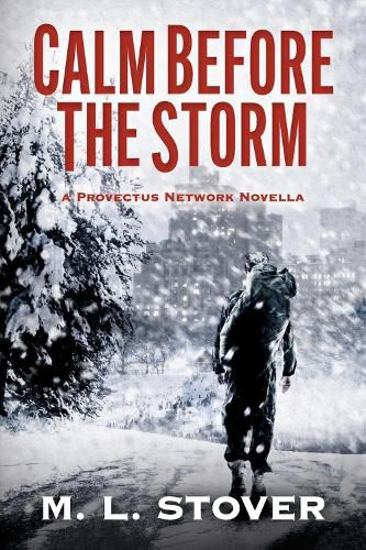 Cover image for Calm Before the Storm