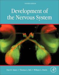 Cover image for Development of the Nervous System