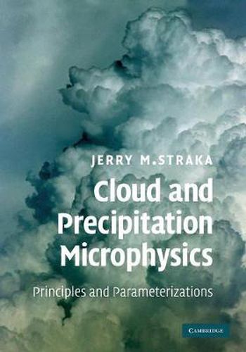 Cover image for Cloud and Precipitation Microphysics: Principles and Parameterizations
