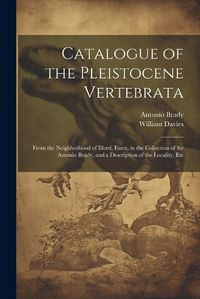 Cover image for Catalogue of the Pleistocene Vertebrata