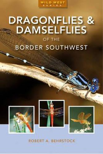 Cover image for Dragonflies & Damselflies of the Southwest