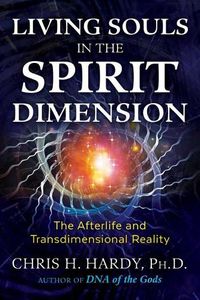 Cover image for Living Souls in the Spirit Dimension: The Afterlife and Transdimensional Reality