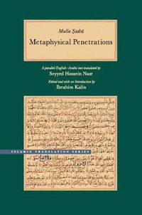 Cover image for Metaphysical Penetrations: A Parallel English-Arabic Text