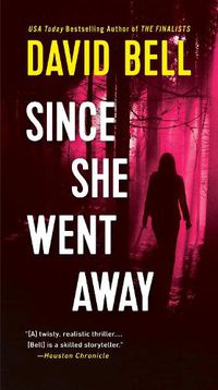 Cover image for Since She Went Away
