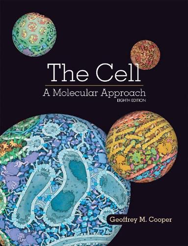 Cover image for The Cell: A Molecular Approach