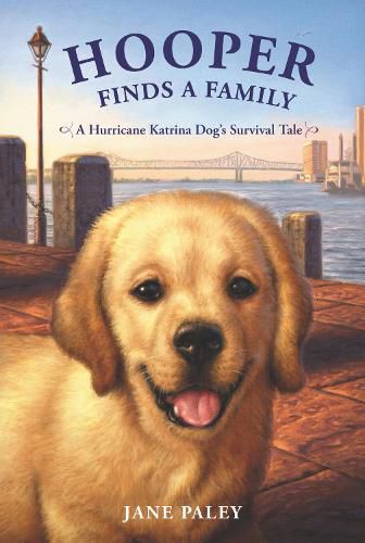 Cover image for Hooper Finds a Family: A Hurricane Katrina Dog's Survival Tale