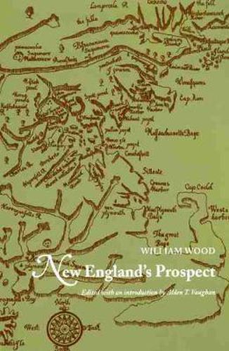 Cover image for New England's Prospect