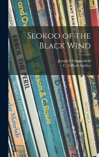 Cover image for Seokoo of the Black Wind