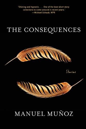 The Consequences: Stories