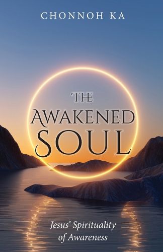 Cover image for The Awakened Soul