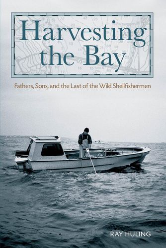 Cover image for Harvesting the Bay: Fathers, Sons And The Last Of The Wild Shellfishermen