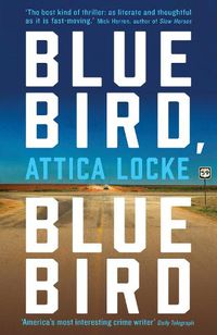 Cover image for Bluebird, Bluebird