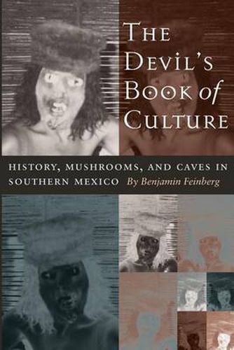 Cover image for The Devil's Book of Culture: History, Mushrooms, and Caves in Southern Mexico