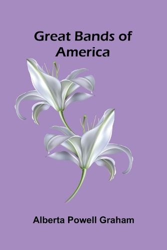 Cover image for Domnei A Comedy of Woman-Worship (Edition1)