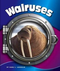 Cover image for Walruses