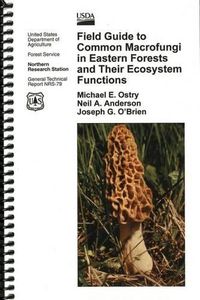 Cover image for Field Guide to Common Macrofungi in Eastern Forests and Their Ecosystem Functions