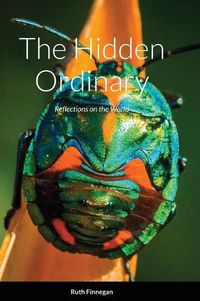 Cover image for The hidden ordinary