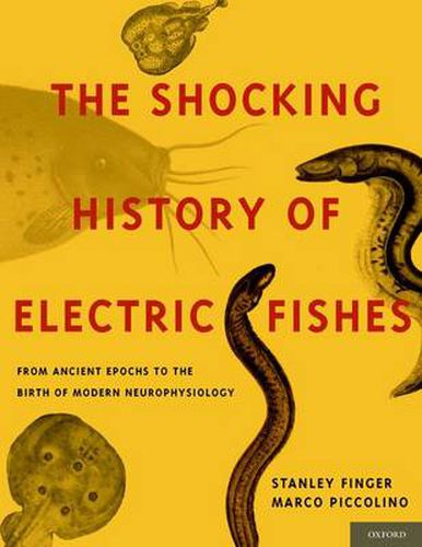 Cover image for The Shocking History of Electric Fishes: From Ancient Epochs to the Birth of Modern Neurophysiology