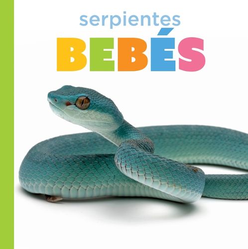 Cover image for Serpientes Bebes